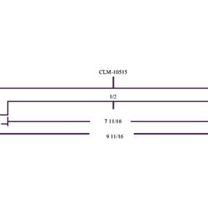 CLM-10515 molding dimensions drawing.