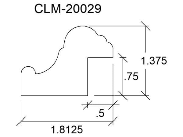 CLM 20029