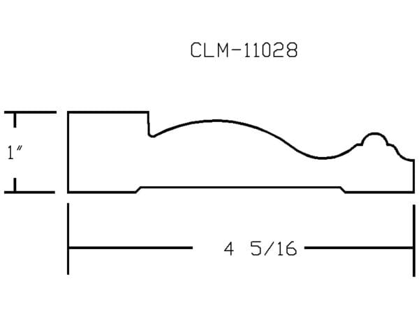 CLM 11028