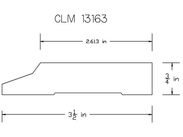 CLM 13163