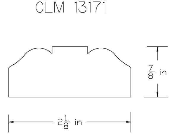 CLM 13171