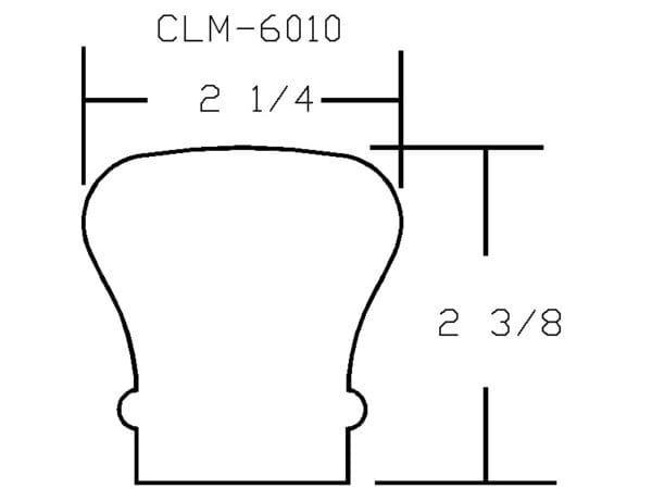 CLM 6010