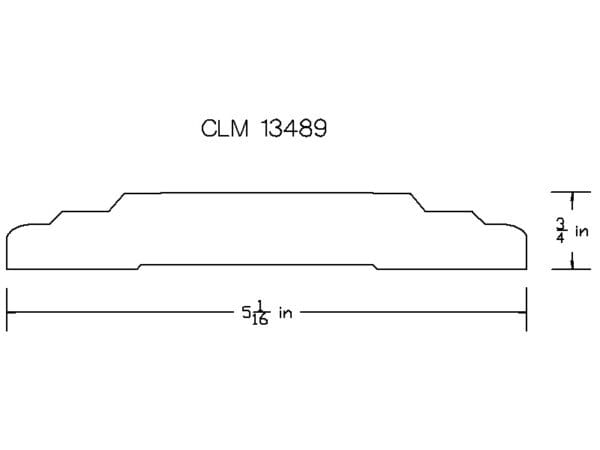 CLM 13489