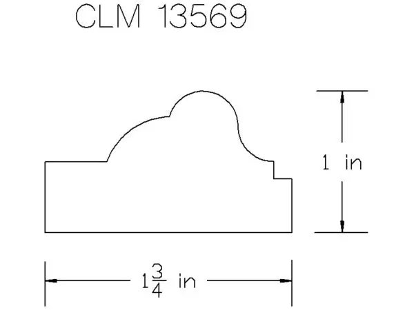 CLM 13569