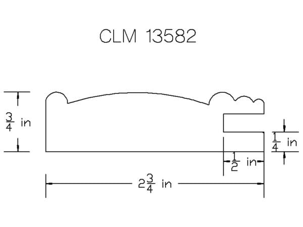 CLM 13582