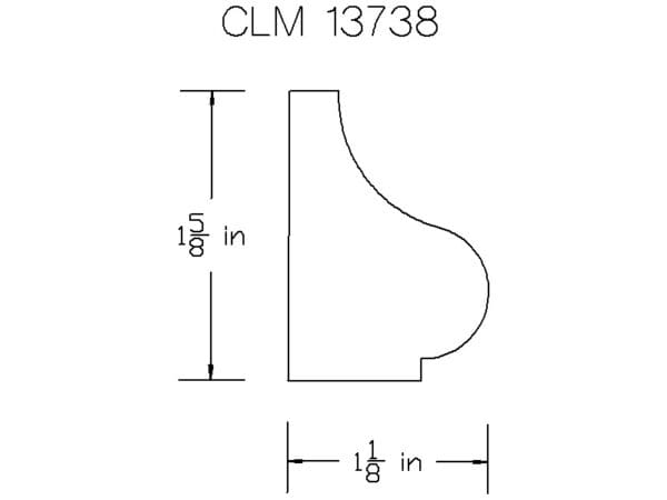 CLM 13738
