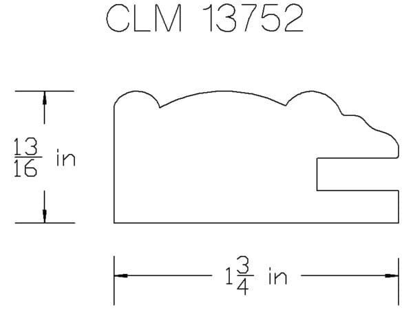 CLM 13752