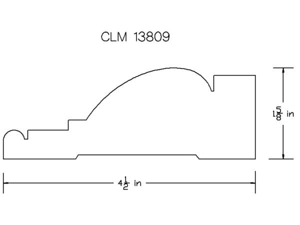 CLM 13809