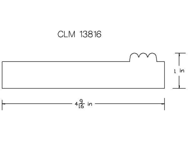 CLM 13816