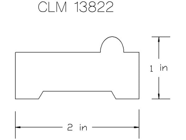 CLM 13822