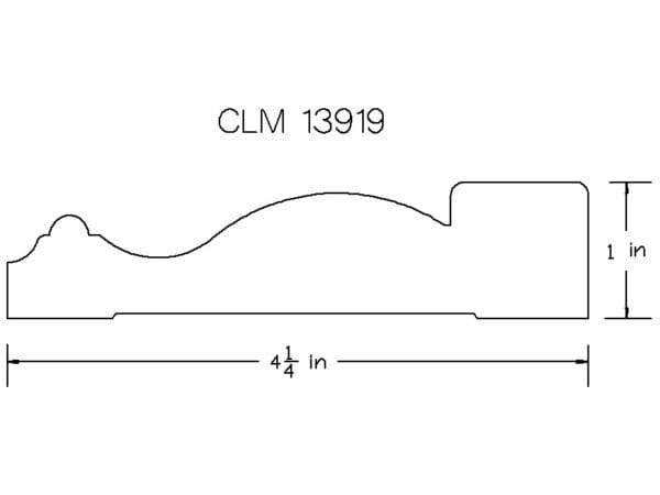 CLM 13919