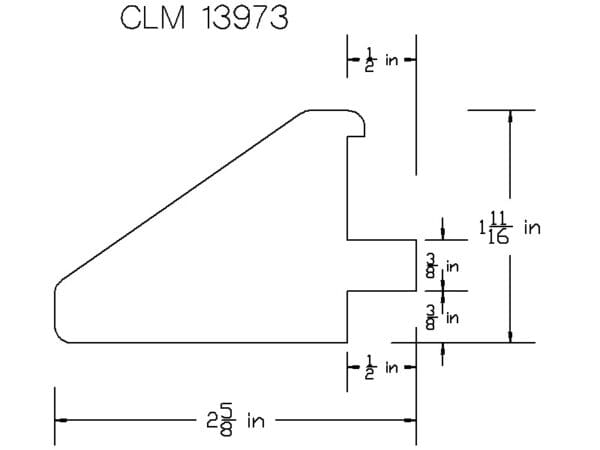 CLM 13973