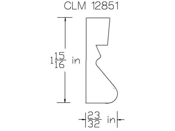 CLM 12851