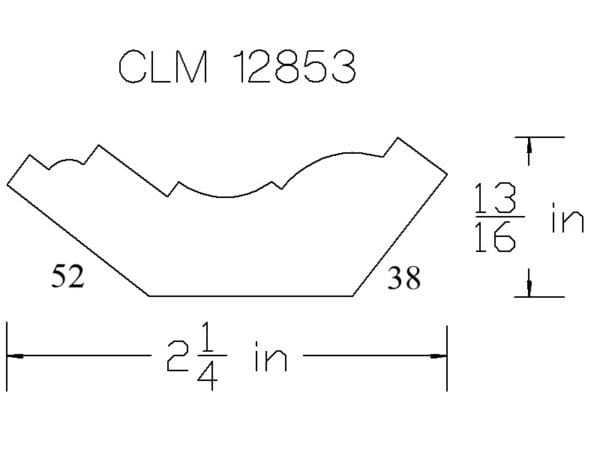 CLM 12853