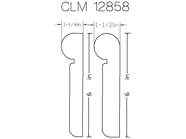 CLM 12858