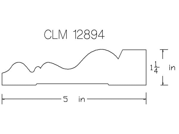 CLM 12894