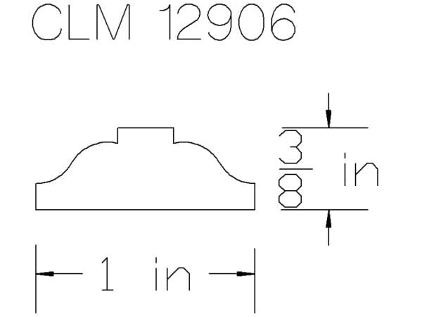 CLM 12906