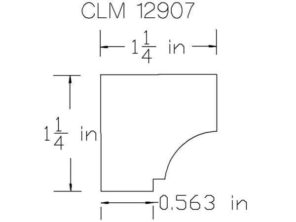 CLM 12907