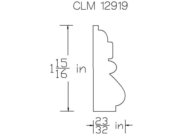 CLM 12919