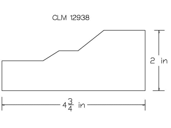 CLM 12938